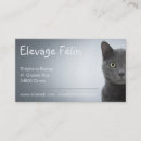 Suche nach zucht visitenkarten Katze