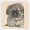 Suche nach pekingese aufkleber Hunde