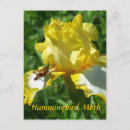 Suche nach insekt postkarten Motte