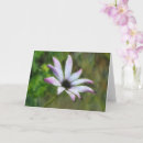 Suche nach cosmos karten Blume