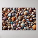 Suche nach muscheln poster Natur