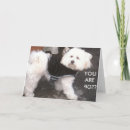 Suche nach heuschrecke karten Liebe