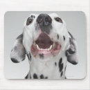 Suche nach ärger mousepads Konfrontation