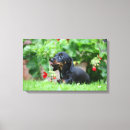 Suche nach lecken leinwandbilder Hund