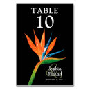 Suche nach vögel tischkarten Tropisch