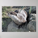 Suche nach sie otter sind mit mir baby kinder Natur