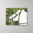 Suche nach reiten leinwandbilder Pferde