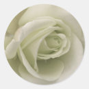 Suche nach gala aufkleber Rose