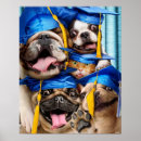 Suche nach katzen hunde poster Lustiges tier