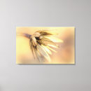 Suche nach seed poster Baum