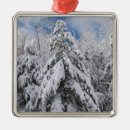 Suche nach winterliche ornamente Winterlandschaft