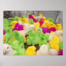 Suche nach stifte poster Reise