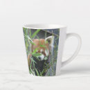 Suche nach red panda tassen Niedlicher roter panda