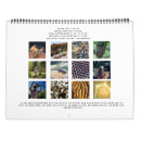 Suche nach honigbienen kalender Imker