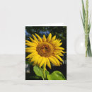 Suche nach sonnenblume karten Quelle