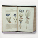 Suche nach elisabethanischen mousepads Schule