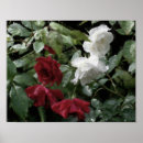 Suche nach watercolor flower poster Floral