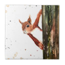 Suche nach eichhörnchen fliesen Aquarell