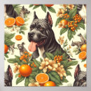 Suche nach cane corso poster Rohrkorso