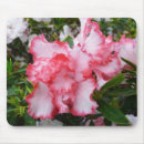 Suche nach azalee mousepads Natur
