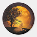 Suche nach märchen magnete Geschichte