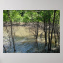 Suche nach sumpf poster Boot