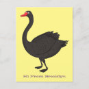 Suche nach schwarzer schwan postkarten Australie
