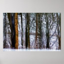 Suche nach birkenwald poster Baum