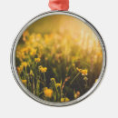 Suche nach sonnenuntergang ornamente Blume