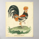 Suche nach coq poster Hahn