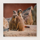 Suche nach meerkat puzzle Natur