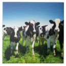 Suche nach gebiet fliesen Tier