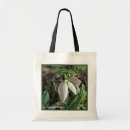 Suche nach snowdrop Weiße blume