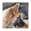 Suche nach shepherd fliesen Hund