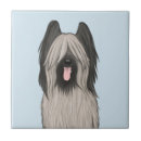 Suche nach brillen fliesen Lustig