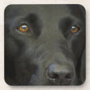 Suche nach schwarzer labrador untersetzer Niedlich