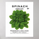 Suche nach spinat poster Gemüse