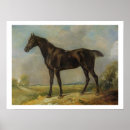 Suche nach horse riding poster Pferde