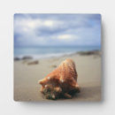 Suche nach segelboote fotoplatten Strand