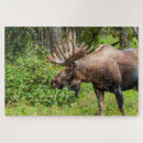 Suche nach elch puzzle Hirsche