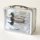 Suche nach enten brotdosen Natur