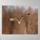 Suche nach richtungen poster Natur