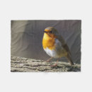 Suche nach rotkehlchen decken Vogel