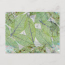 Suche nach sprungs postkarten Quelle