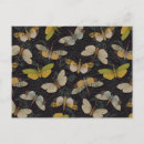 Suche nach fehler postkarten Pflanze