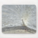 Suche nach weiße feder mousepads Pfau