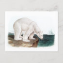 Suche nach audubon postkarten Lithograph