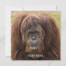 Suche nach borneo karten Affe
