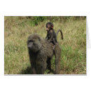 Suche nach pavian postkarten Affe