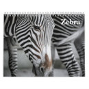 Suche nach zebra kalender Natur